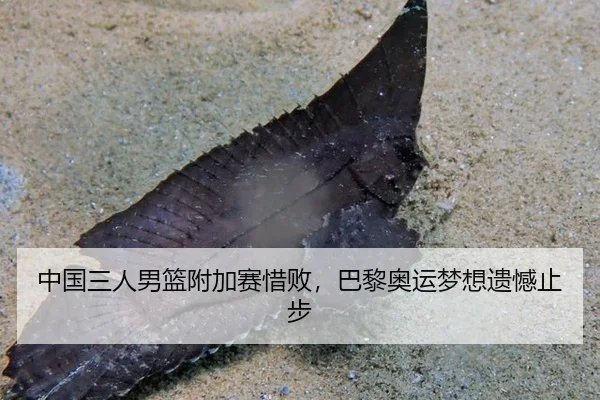 中国三人男篮附加赛惜败，巴黎奥运梦想遗憾止步